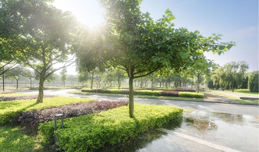 Hà Đô Charm Villas trở thành dự án Khu đô thị xanh sinh thái bậc nhất thủ đô